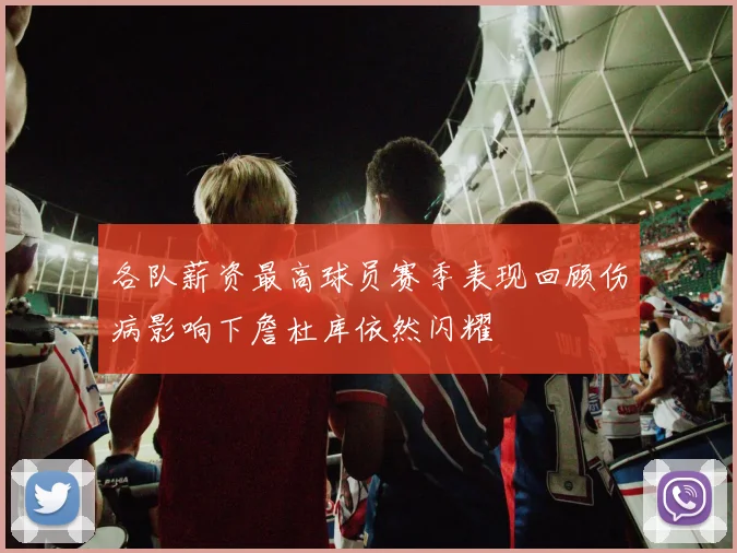 各队薪资最高球员赛季表现回顾伤病影响下詹杜库依然闪耀