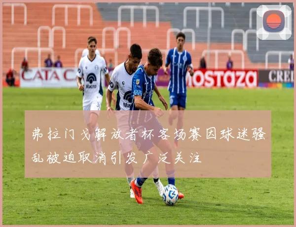弗拉门戈解放者杯客场赛因球迷骚乱被迫取消引发广泛关注